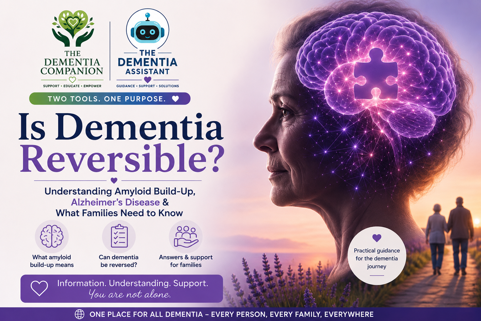 Is Dementia Reversible? Understanding Amyloid Build-Up and Alzheimer’s Disease
